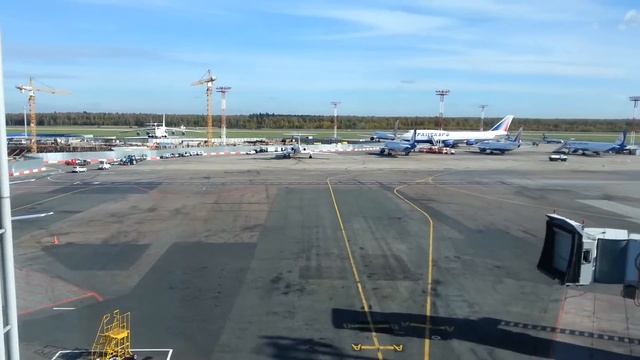 в аэропорту ДОМОДЕДОВО смотреть онлайн