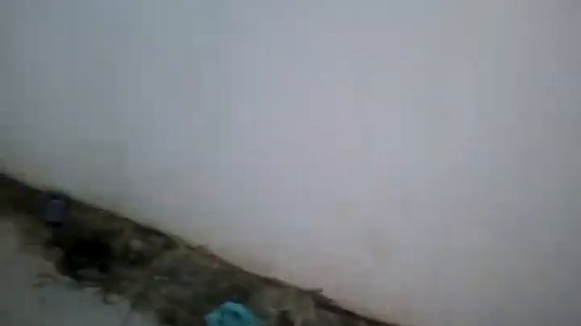 Туалет в Казахстане у дороги смотреть онлайн