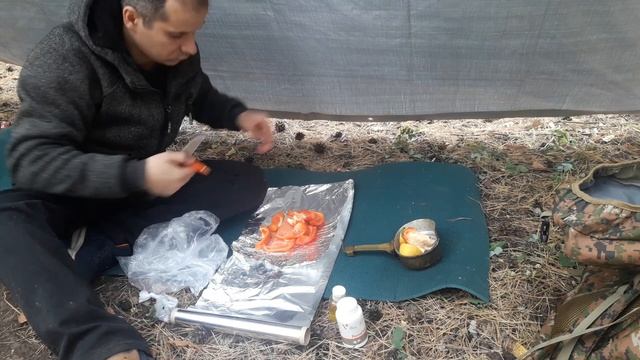 ПВД 2021. Одиночный поход в лес. Single trip trave. SOLO BUSHCRAFT CAMP смотреть онлайн