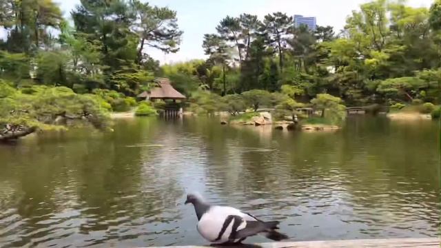 8 месяцев в Японии смотреть онлайн