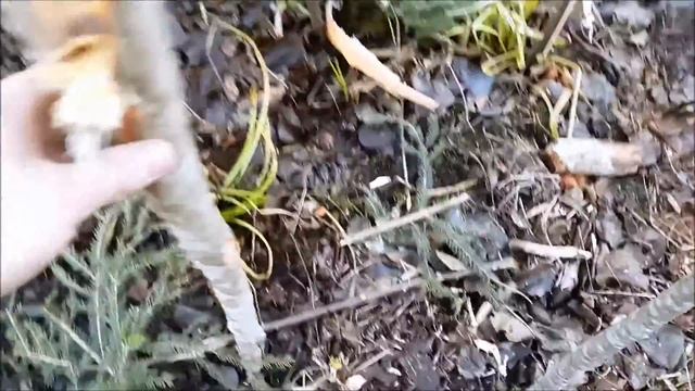 BUSHCRAFT:Бушкрафтерский стол смотреть онлайн