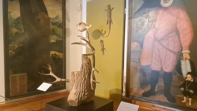 Австрийский замок Амбрас в Инсбруке.Schloss Ambras Innsbruck смотреть онлайн