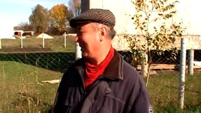 Березовая аллея в Отрадном смотреть онлайн