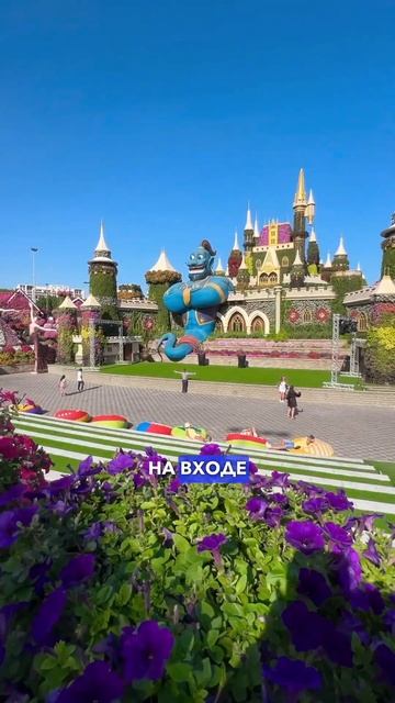 Самое романтическое место в Дубае Miracle Garden #дубай #отдых #shorts смотреть онлайн