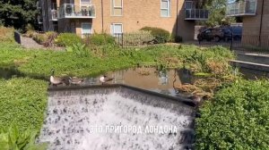 Английская деревня. Пригород Лондона Hemel Hempstead. Прогулка