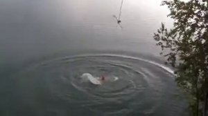 Русские отдыхают на природе #на Малуксе