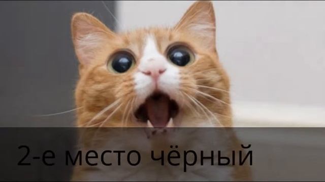 Offbeat Escapes & Experiences