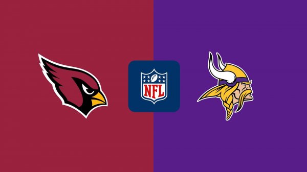 Аризона Кардиналс - Миннесота Вайкингс/NFL/01.12.2024/Arizona Cardinals - Minnesota Vikings