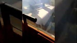 Как завести ДТ-75 с пускача