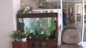 Анапа . прогулка по территории пансионата Золотой песок ...