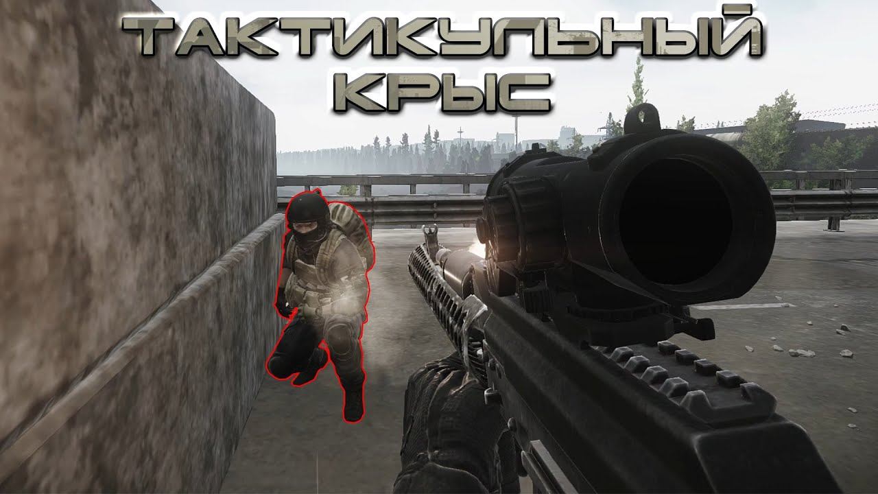 Escape from Tarkov #56 Тактика: "Пасующая крыса" смотреть онлайн