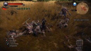 ведьмак 3 билд школы кота