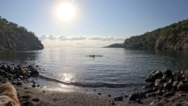 Турция😎жара в ￼Анталии🐶￼ смотреть онлайн