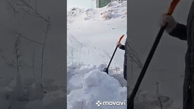 установка палатки смотреть онлайн