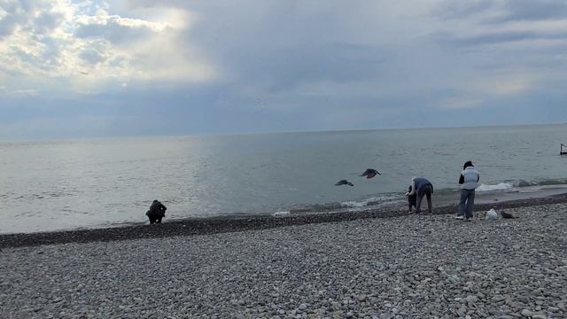 Набережная в Адлере 🫶 завидую белой завистью 💥 смотреть онлайн