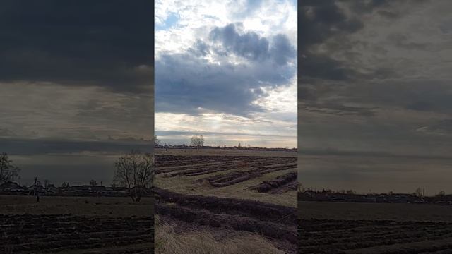 1000004642.mp4 смотреть онлайн