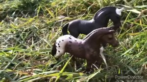 | Клип | |Лошади Schleich | | Believer |