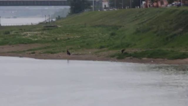 Омск. Забава в устье Оми смотреть онлайн