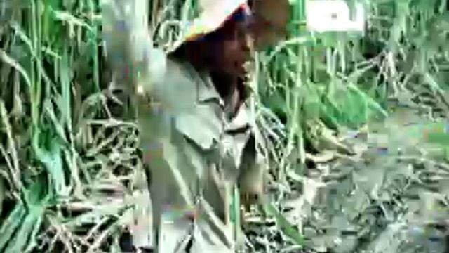 21 Machete Darien Feat Alex Flow VIDEO HD 720p 60 Fp смотреть онлайн