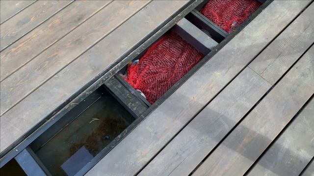 Запускаем фильтр биологической загрузки в пруду.Начало смотреть онлайн