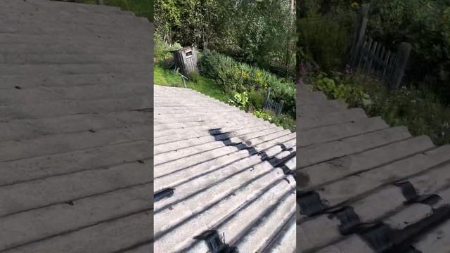 Тайные купленные