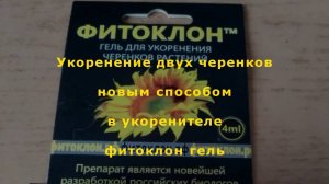 Укоренение черенков с помощью геля фитоклон.