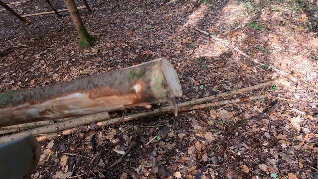 Лагерь в лесу.День третий.Доделал крышу.Bushcraft. смотреть онлайн