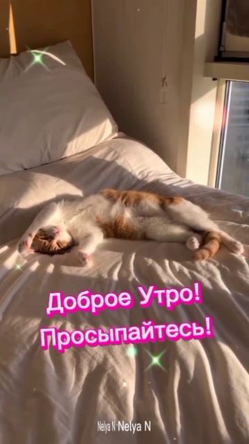 Доброе утро. Добрый вечер ВидеоОткрытка на каждый день смотреть онлайн