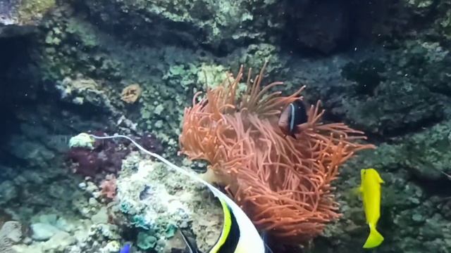 Плоцк. Польша. Уик-энд.