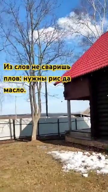 Из слов не сваришь плов. #душа #природа #крылатая мудро?