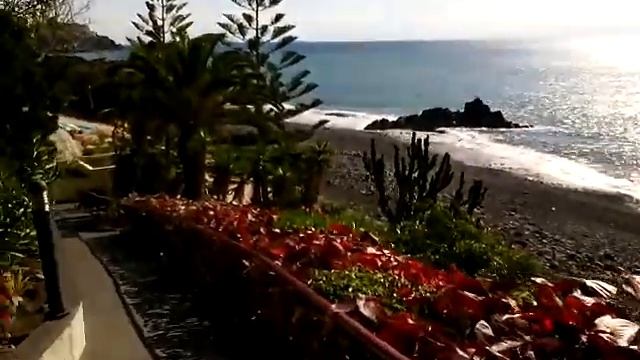 Мадейра 2019 смотреть онлайн