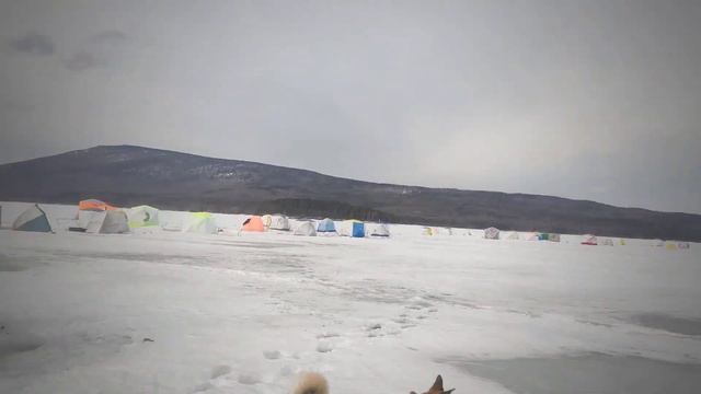 ВЕСНА НА ПРУДУ.ПАРЯЩИЕ ПАЛАТКИ. ТАИНСТВЕННЫЕ СЛЕДЫ НА ДЕРЕВЕ. смотреть онлайн