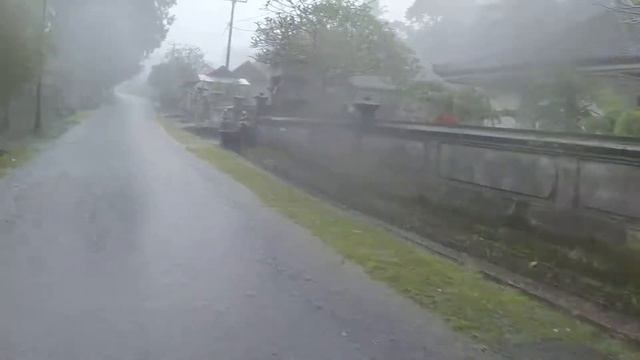 Бали Амед смотреть онлайн