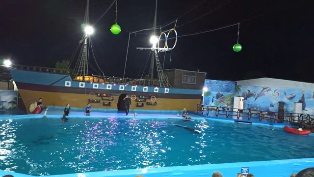 Архипо-Осиповский дельфинарий. Катание на лодочке с дельфином смотреть онлайн