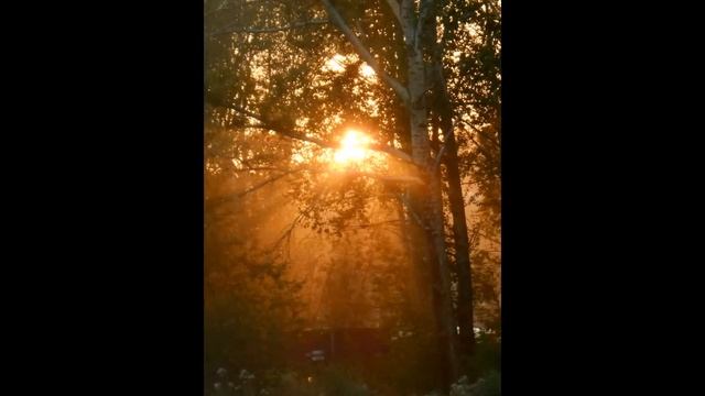 Дегтярские прогулки (слайд-шоу) смотреть онлайн