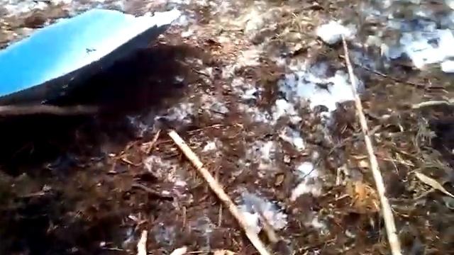 Строительство шалаша в лесу #2. Бомж пекник за 50 рублей. смотреть онлайн