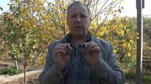 Пионер  аэрозольное устройство самообороны и эффективность БАМов А+А