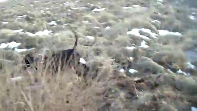 Прогулка в парке. смотреть онлайн