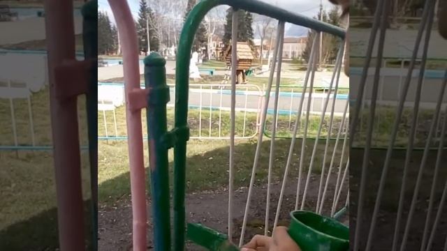 Волонтеры Колледжа АлтГУ в Парке культуры и отдыха "Центральный" смотреть онлайн