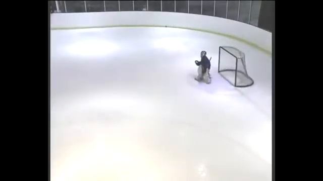 В МБУ «Конаковский лёд» состоялся предновогодний турнир по хоккею смотреть онлайн