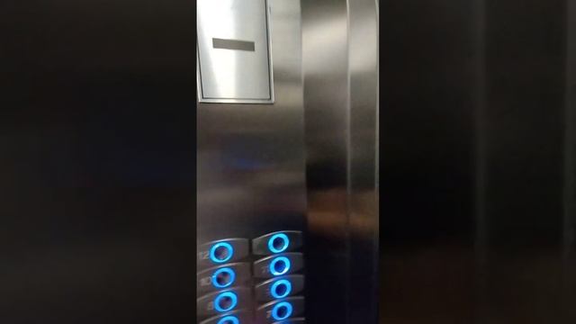 Золотая бухта аренда смотреть онлайн