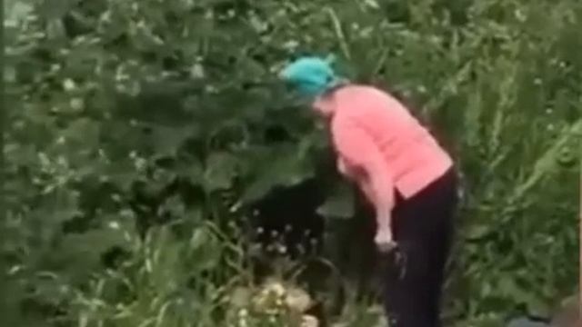 Бабуля решила проучить нетрезвых бесстыдников, которые уединились в кустах смотреть онлайн