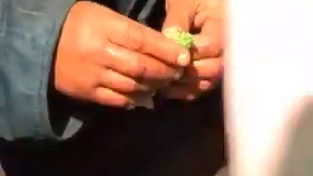 бомжи смотреть онлайн