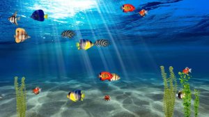 Футаж  Сказочный подводный мир моря