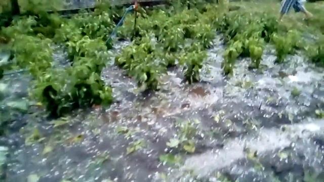 Град 5. 09.16. Тульская обл. смотреть онлайн