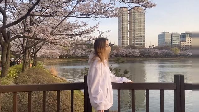 vlog№1 Сеул (Южная Корея), психотерапия, знакомство, САКУРА смотреть онлайн