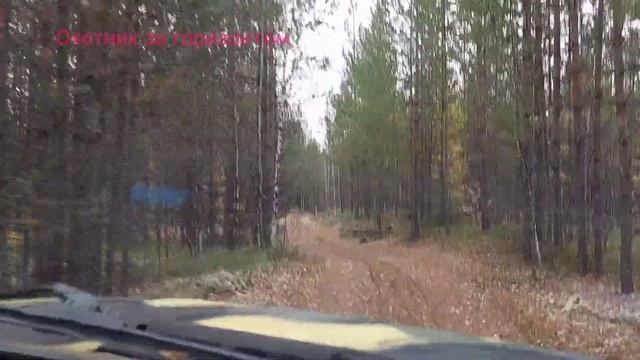 Осень 🍂 смотреть онлайн