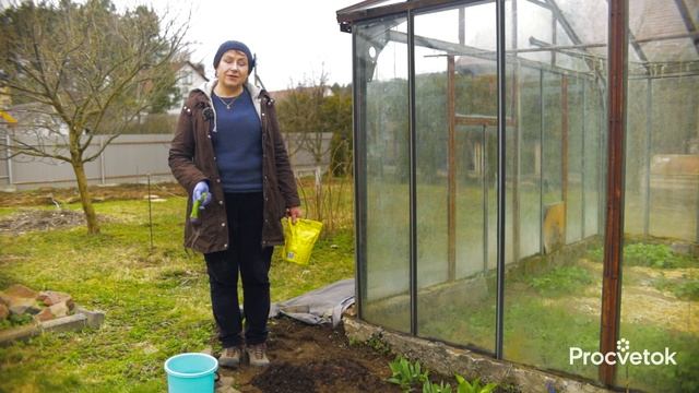 ПИОНЫ БУДУТ ЯРКО И ПЫШНО ЦВЕСТИ, если успеете сделать эти работы весной! смотреть онлайн