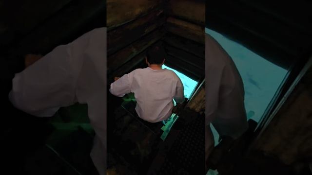 Автобусный тур в Дивное Дивеево из Оренбурга с туроператором Небо56. смотреть онлайн