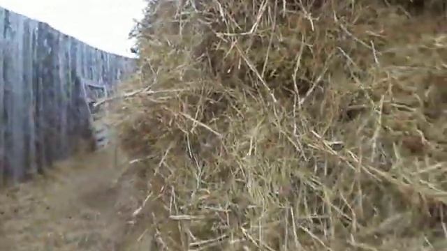 ЛПХ//Солома и сено в сеновале ( деревенская жизнь рукодельницы). смотреть онлайн